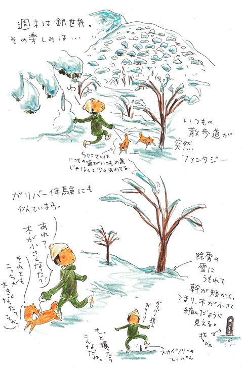 f0236291_926197.gif