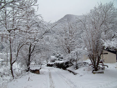 f0236291_9262756.jpg