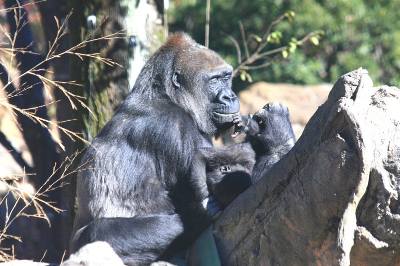 f0129994_13554740.jpg