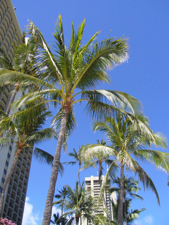 f0285497_18363548.jpg