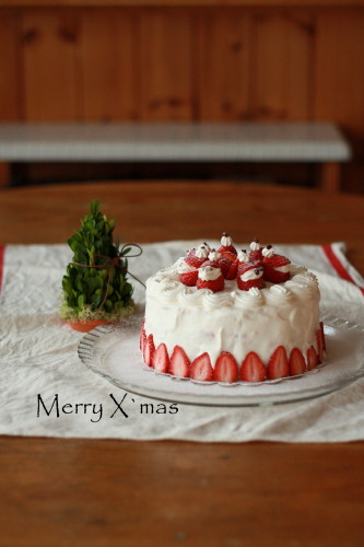 Merry X`mas_c0190900_16484989.jpg
