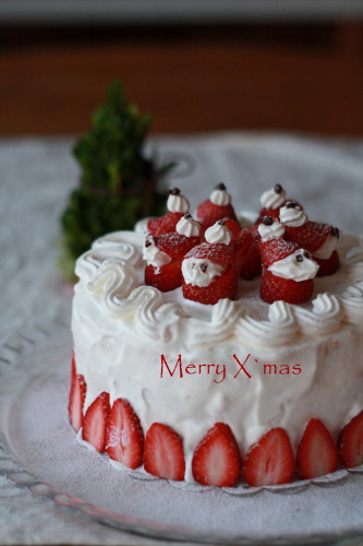 Merry X`mas_c0190900_16502253.jpg