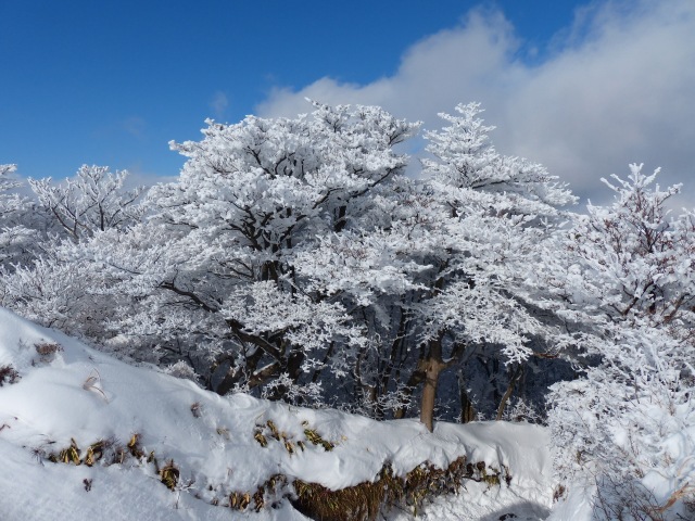 九重星生山へ。(12月22日）_b0025101_2246125.jpg