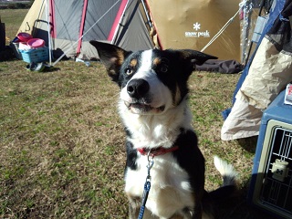 e0109702_043855.jpg