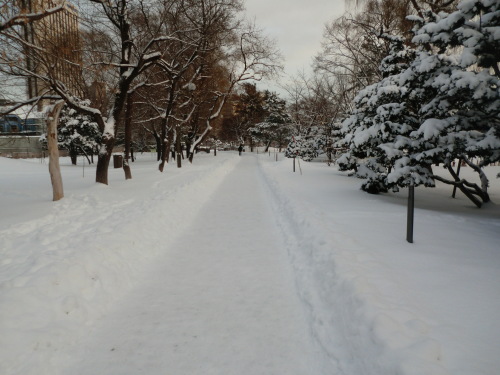 e0242504_20073109.jpg