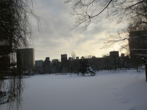 e0242504_20120033.jpg