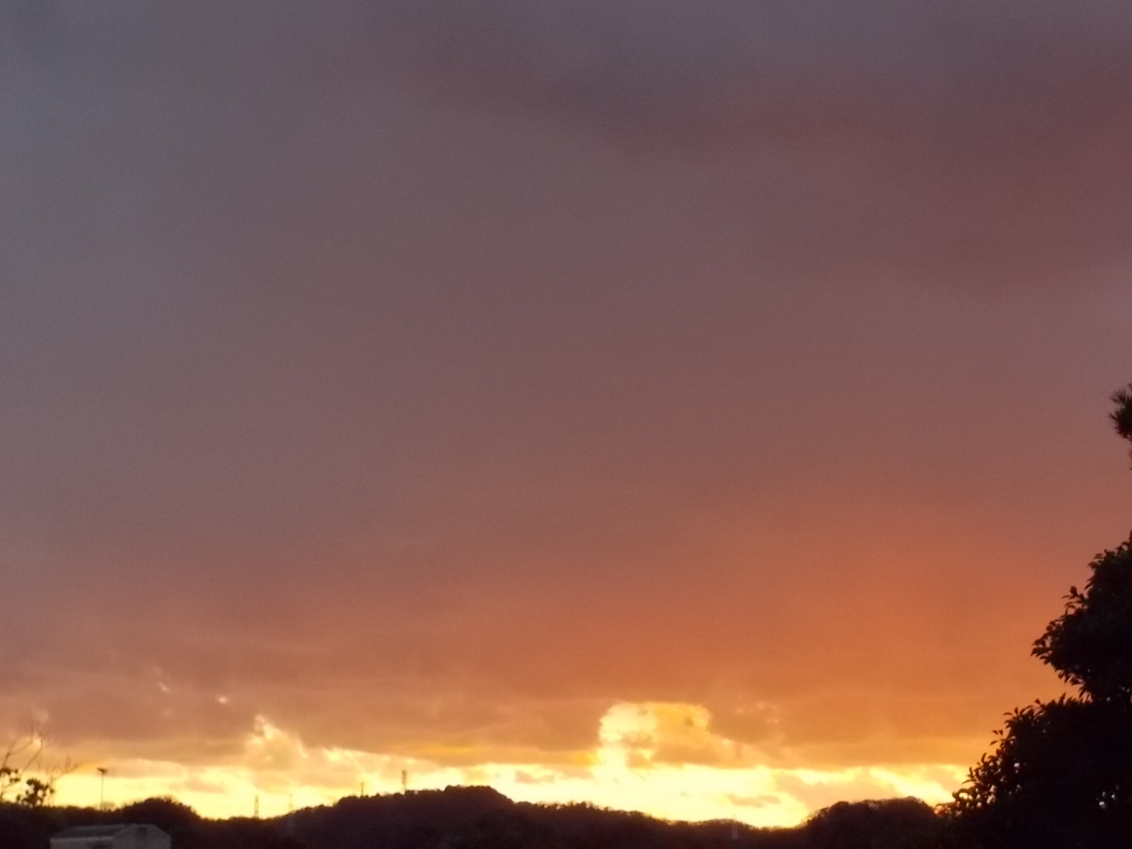 b0277505_22182610.jpg