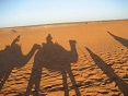 c0077412_1027599.jpg