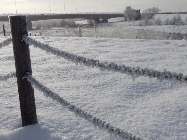 e0336214_1733761.jpg