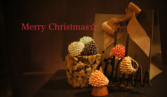 Happy Merry Christmas☆_b0115615_14492886.jpg