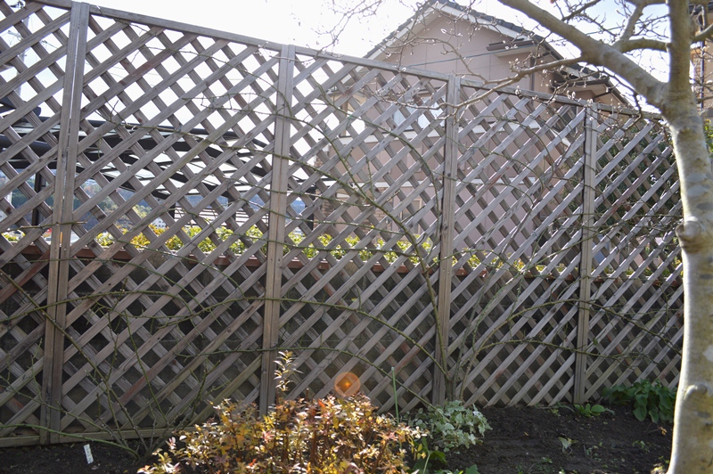 d0096422_16565551.jpg