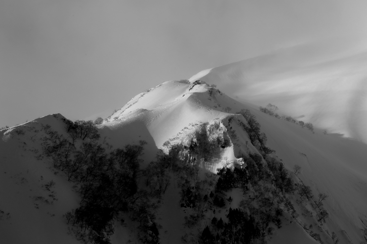 b0062024_20364015.jpg