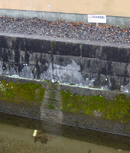 d0179225_01592827.jpg