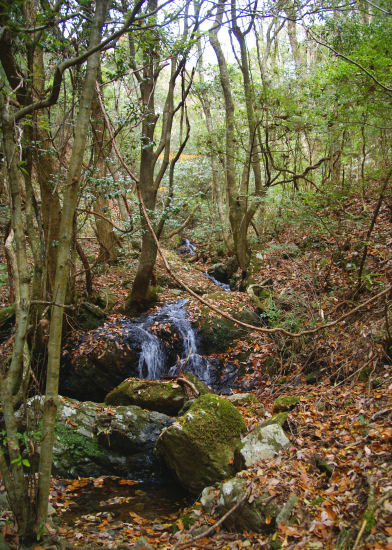 b0211627_18111517.jpg
