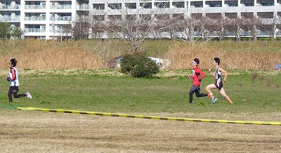 おにゃじ “第454回 川崎月例マラソン” を走る 中編_b0166128_1175851.jpg