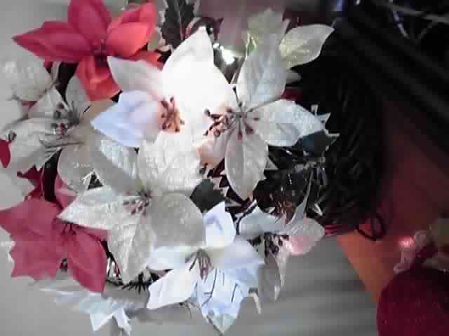 e0208629_8515099.jpg