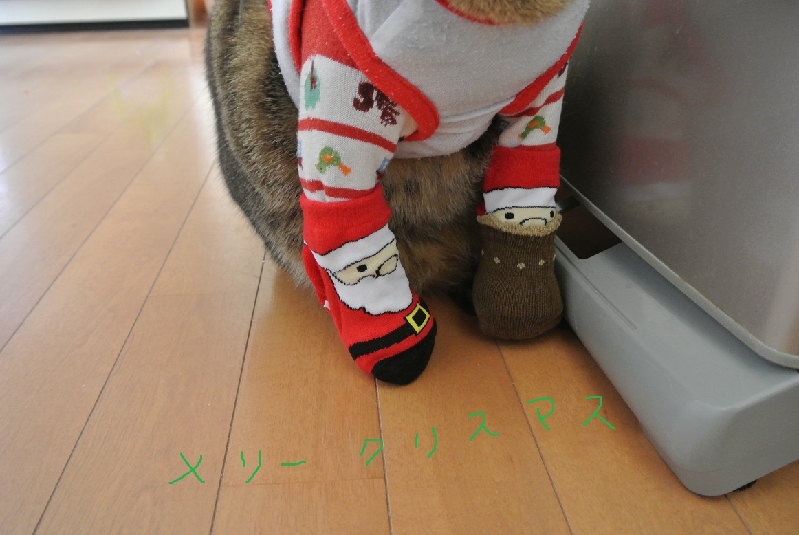 a0099131_1559233.jpg