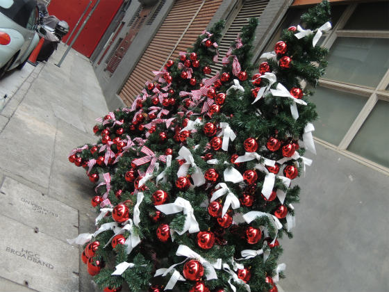 e0248743_721162.jpg