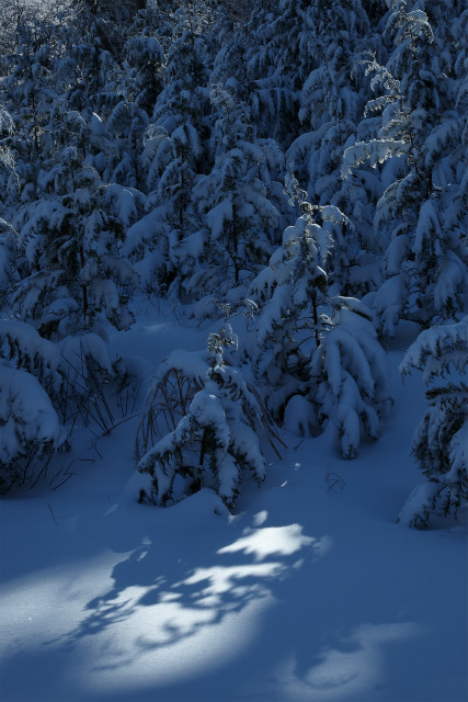 湯けむり慕情と冬山山行_e0151447_194184.jpg