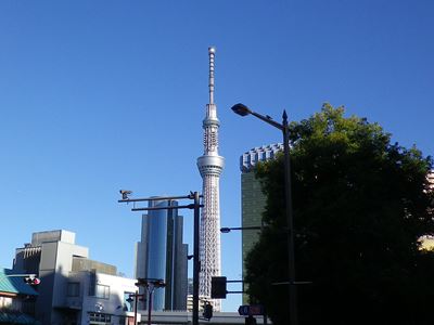 b0220251_16504832.jpg