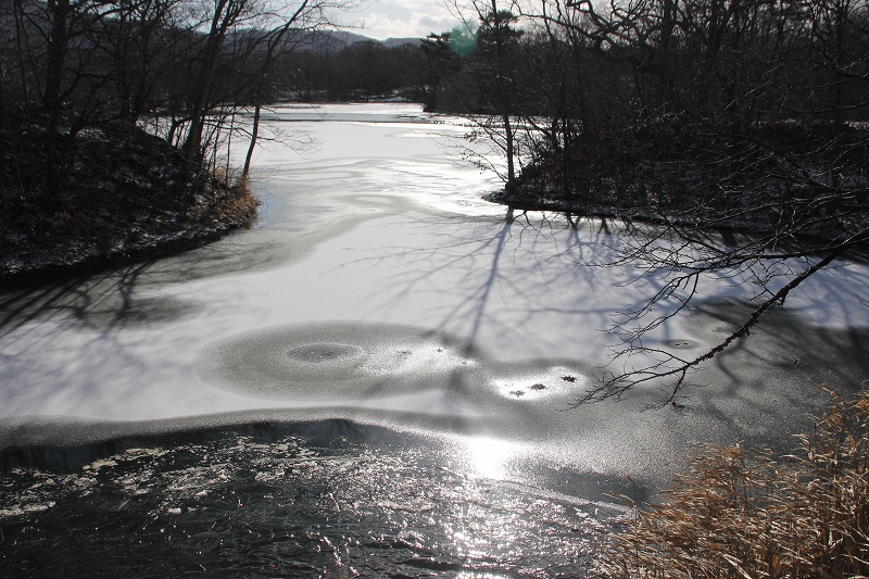 b0250154_02773.jpg