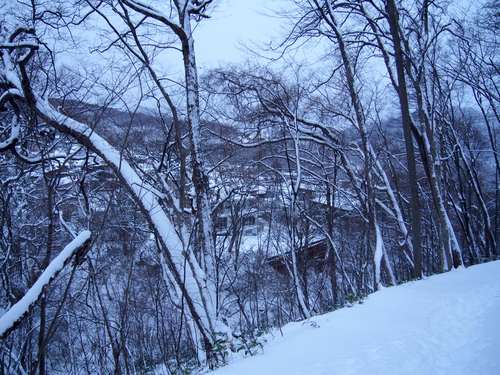 e0105954_8354531.jpg