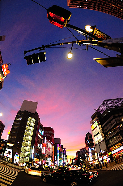 b0283455_20253598.jpg