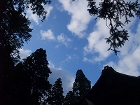 c0208355_16541799.jpg