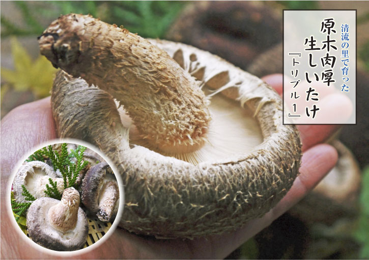 熊本の最旬「美味かもん」をご紹介 vol.11_a0254656_1902034.jpg
