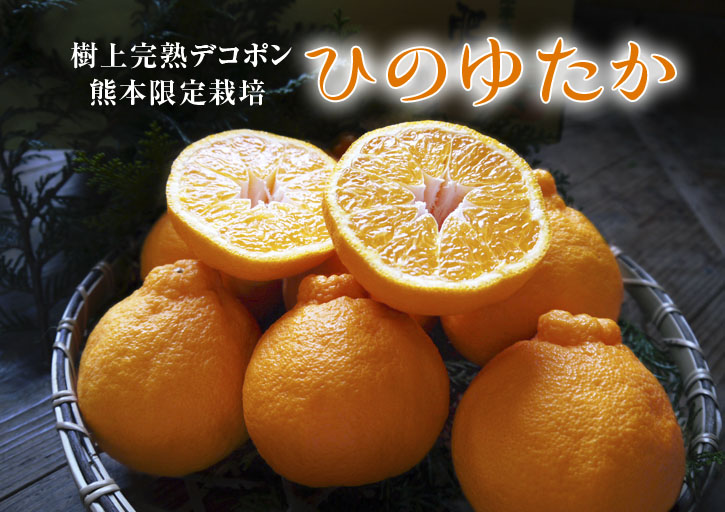 熊本の最旬「美味かもん」をご紹介 vol.11_a0254656_19302179.jpg