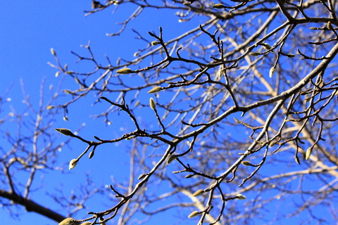 a0248459_19415526.jpg