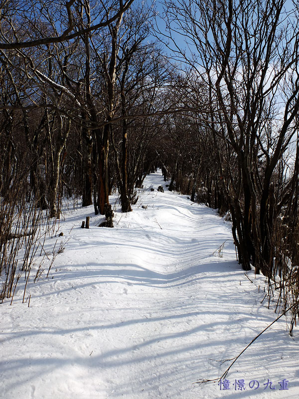 c0288262_1851072.jpg