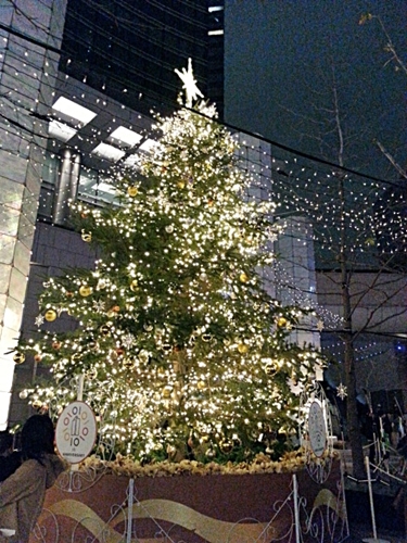 c0096685_20171392.jpg