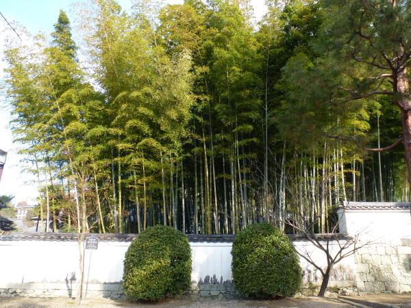 京都宇治 黄檗宗総本山萬福寺 on 2013-12-23_b0118987_06052056.jpg