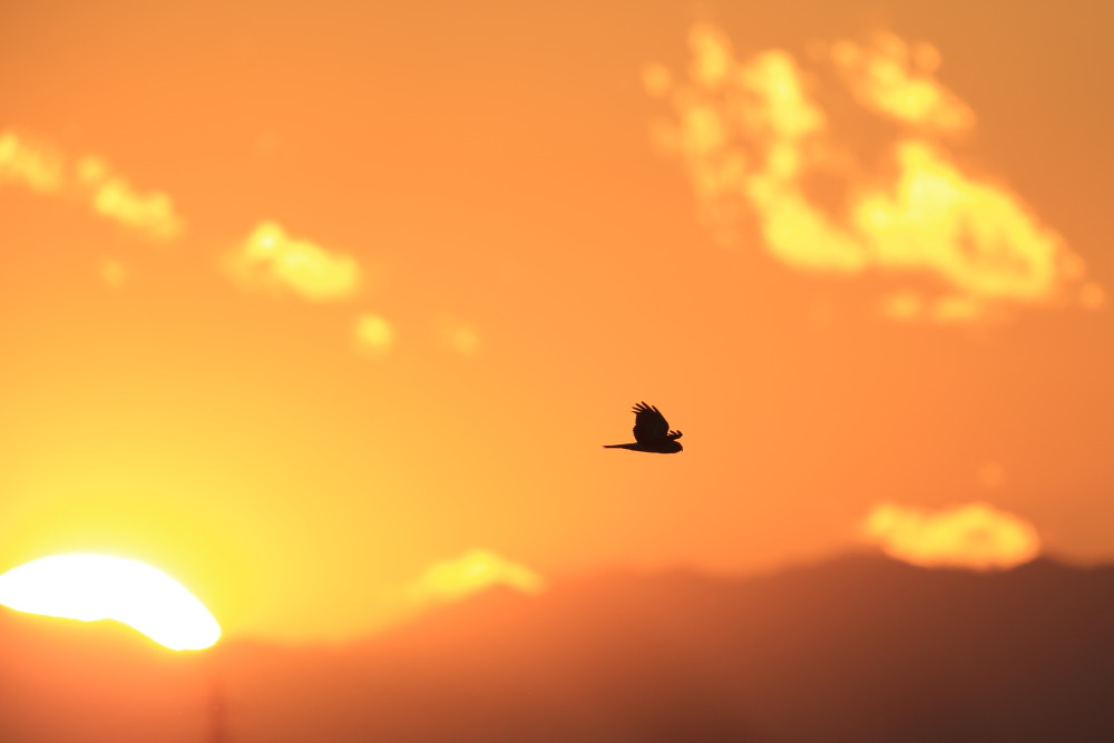 a0183690_23364583.jpg