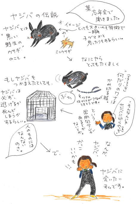 f0236291_1095948.gif