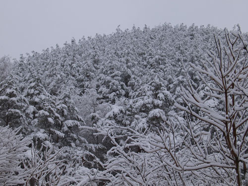 f0236291_67497.jpg