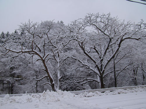f0236291_69973.jpg