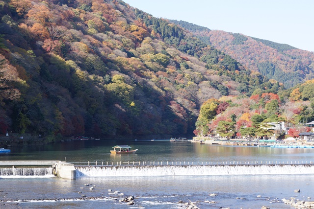 素敵な奈良・京都・神戸を訪ねる旅、日本一の観光都市京都探訪の旅、秋の京都探訪、橋下徹代表観光再発見_d0181492_20393875.jpg