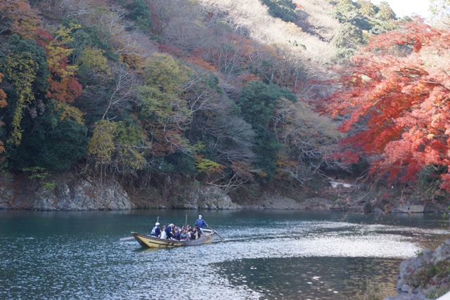 素敵な奈良・京都・神戸を訪ねる旅、日本一の観光都市京都探訪の旅、秋の京都探訪、橋下徹代表観光再発見_d0181492_2049386.jpg