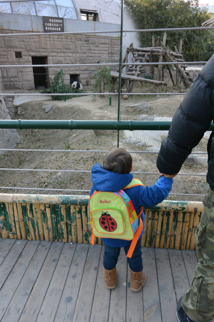 2歳児連れ北京旅行、最終日。_d0121294_20262725.jpg