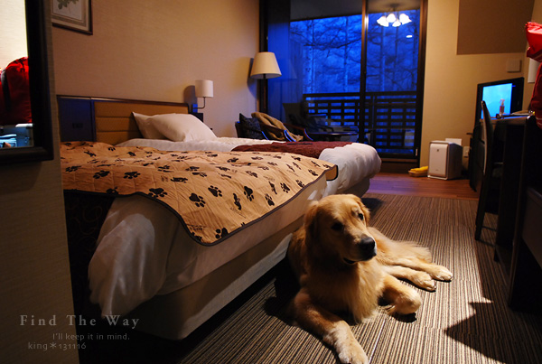 【wanこ】高山オフ 2013 vol.7 ~ 更けゆく夜_f0054594_382033.jpg