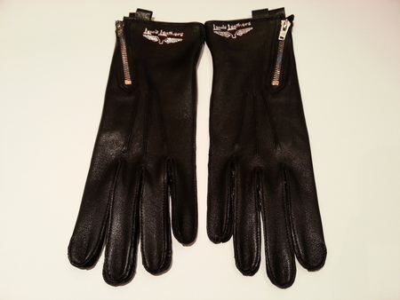 EVEなGLOVES_a0285796_1591940.jpg