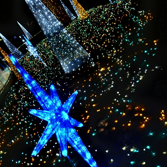 b0213497_2304813.jpg