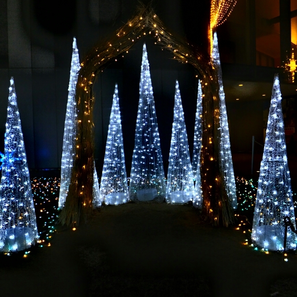 b0213497_231493.jpg