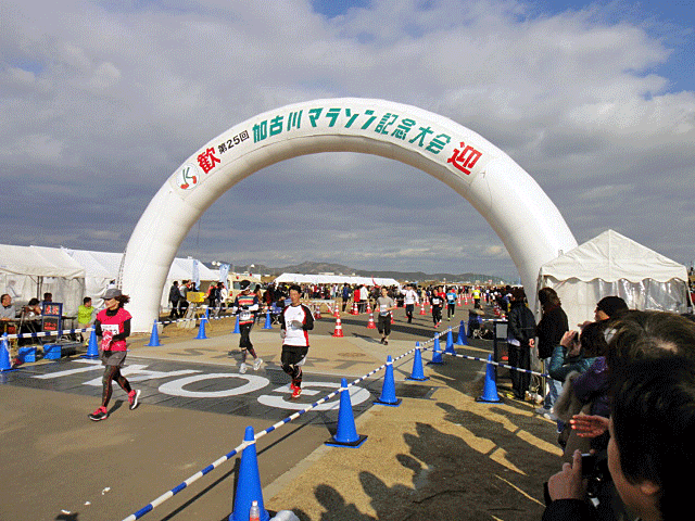 b0108100_2142572.gif