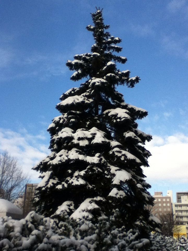 e0322201_8503628.jpg