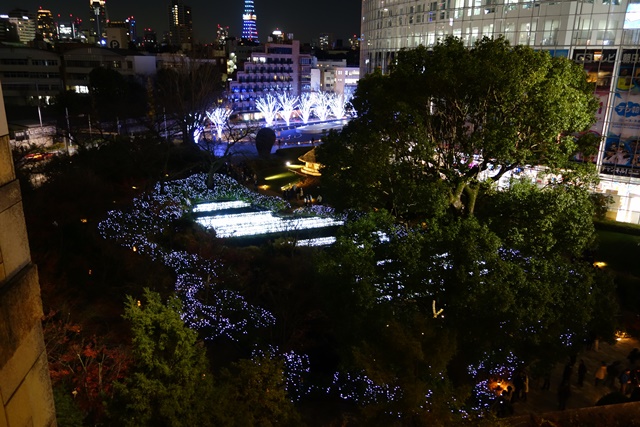 a0167803_20595680.jpg