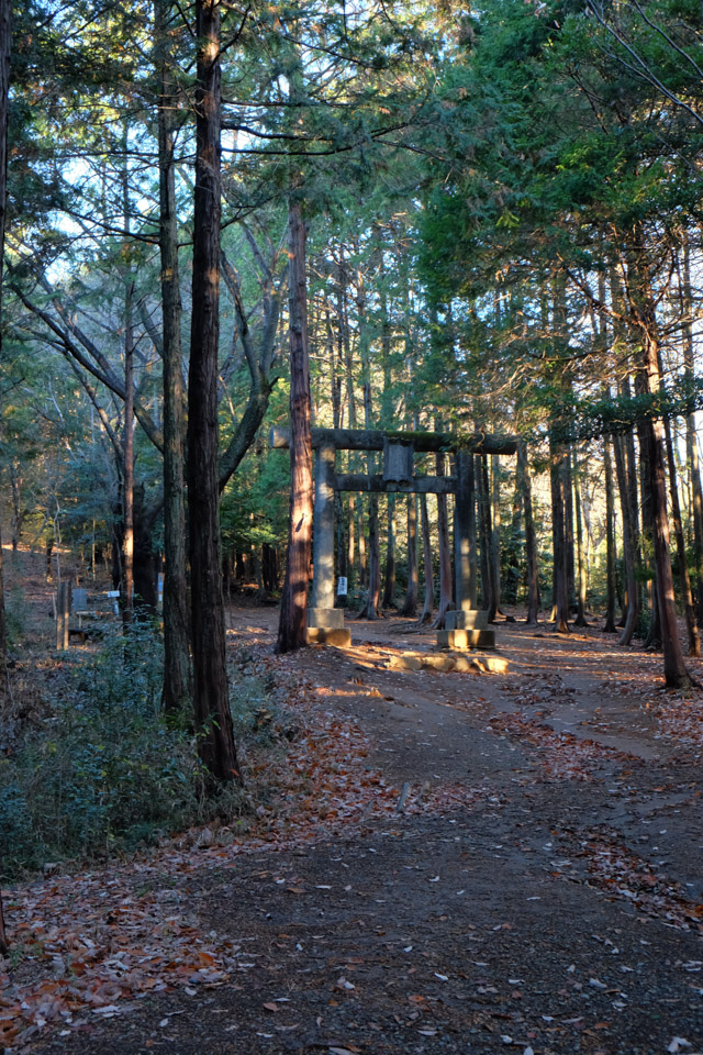 日和田山からユガテ_d0279705_1981097.jpg