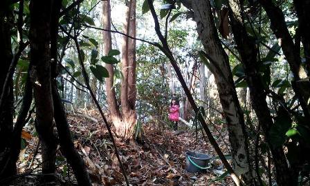 山の中の 『秘密基地』_f0163105_1323563.jpg